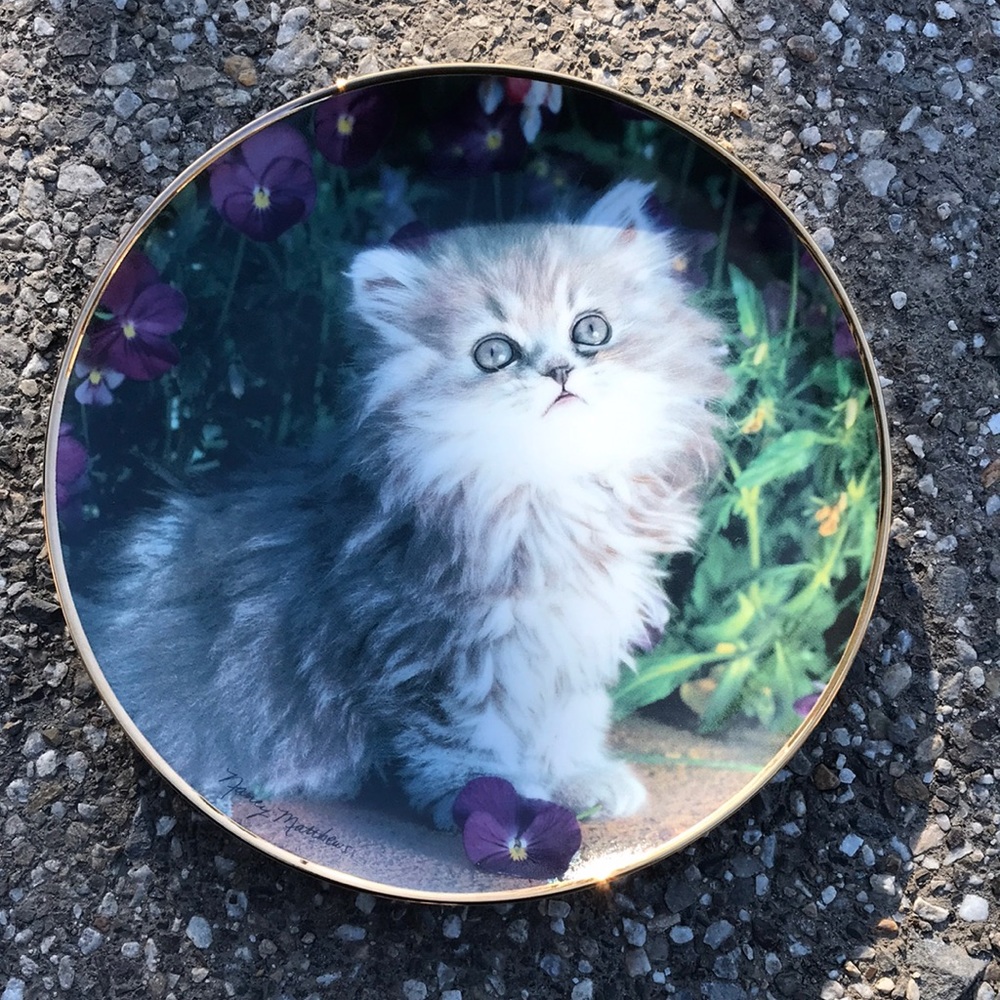 Cat Plate - Picture 1 of 3